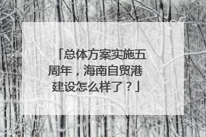 总体方案实施五周年，海南自贸港建设怎么样了？